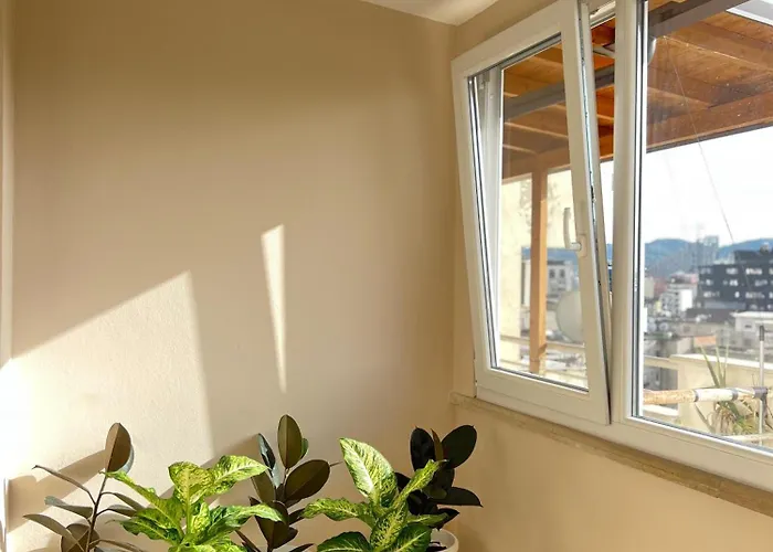 Apartment Above The 01